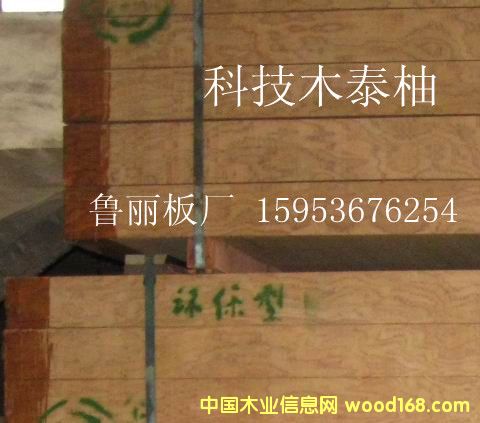 [��] ̩�ֿƼ�ľ