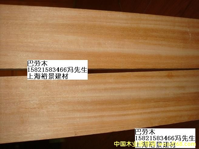 巴勞木的詳細介紹