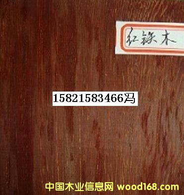 紅鐵木的詳細介紹