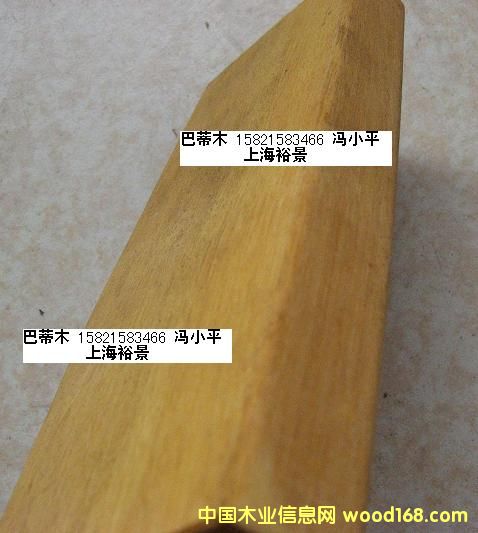 巴蒂木的詳細介紹