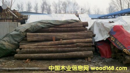 ��z����ϵ�Ԕ��(x��)��B