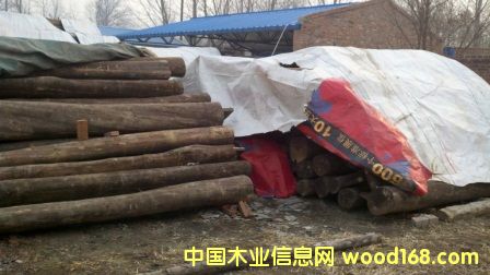 ��z骵�Ԕ��(x��)��B