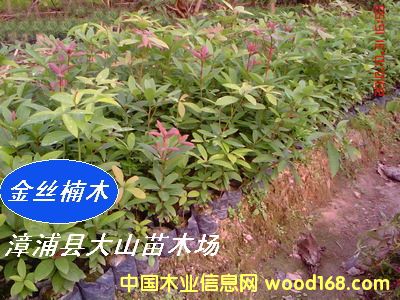 [��] ���ľN�磨�}����E骡�С�~���������ٻ�����t骣�