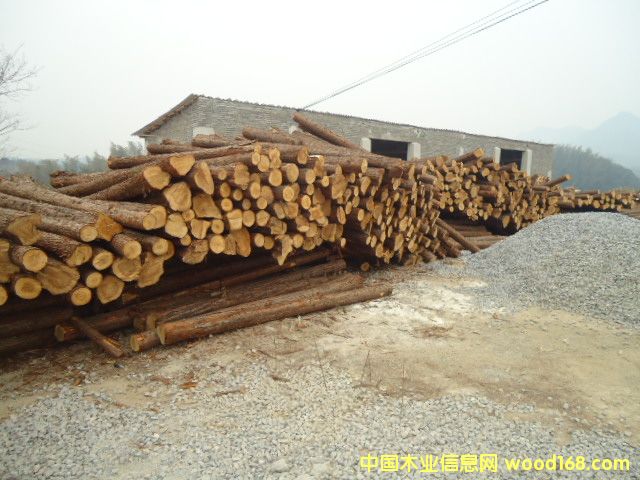 ɼԭľ��Ԕ��(x��)��B