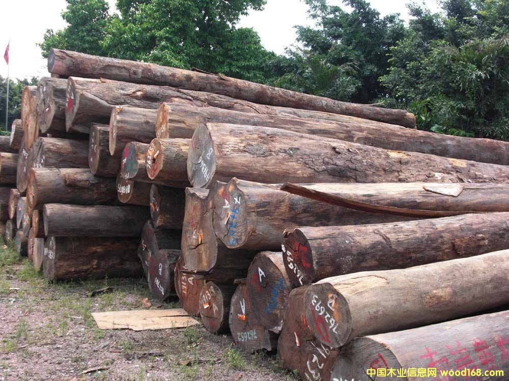 �S���L(f��ng)̴