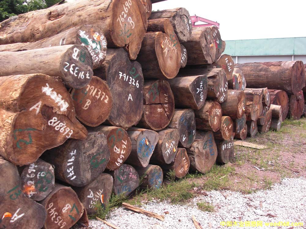 �����L(f��ng)̴