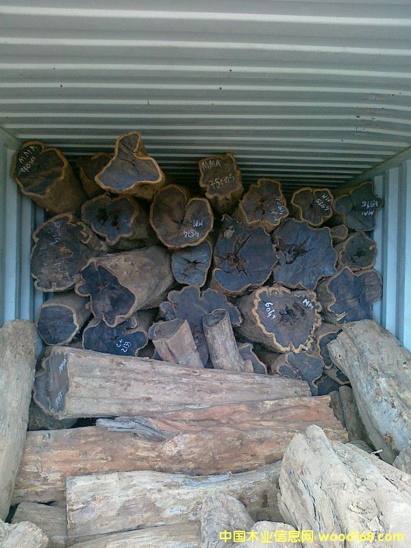 ��ľ��Ԕ����B