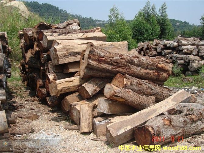 �������Ԕ����B