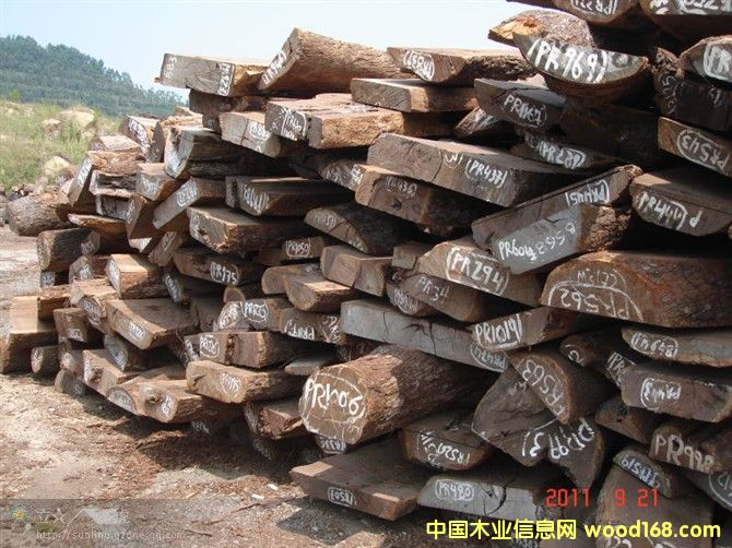 Ƥ�Ұ�ĵ�Ԕ����B