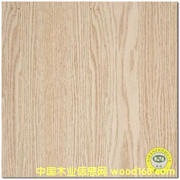 [��] ���V��ʢ����Ȼ�t���y�y��ľľƤ�N������