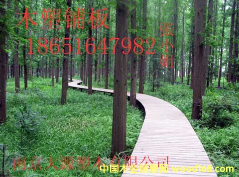 ����ľ�ܵذ��Ԕ��(x��)��B