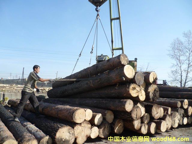 ���_˹����ԭľ��Ԕ����B