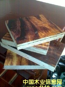 �c(di��n)���鿴����Ĥ��Ŵ�DƬ