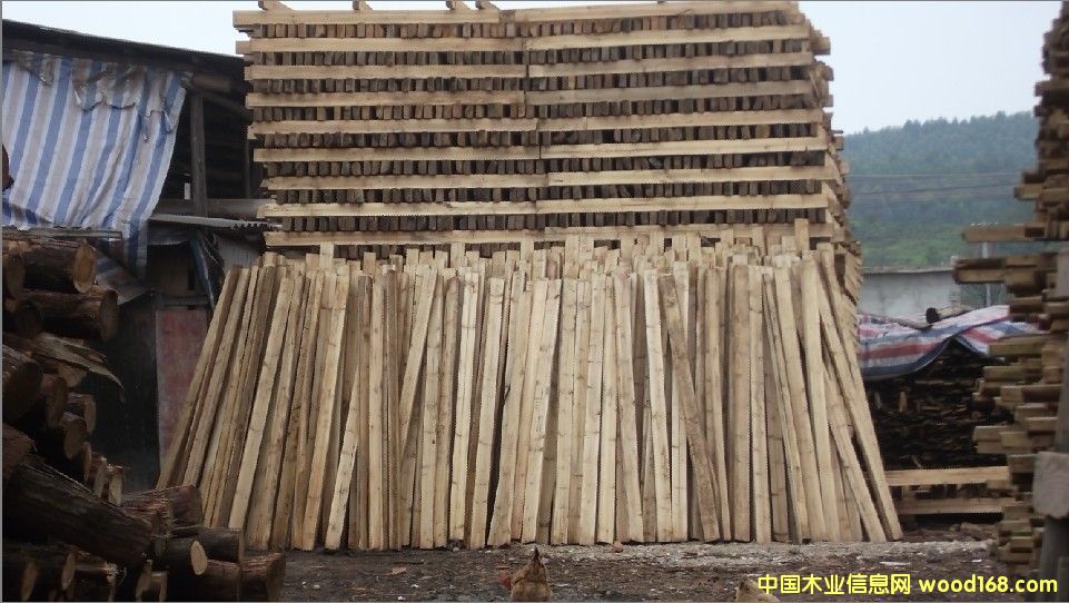 ����ɼľ����Ԕ��(x��)��B