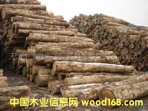 ���l(f��)�M(j��n)�ڴ󏽰���ԭľ