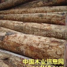 ���l(f��)��(y��u)�|(zh��)�M(j��n)�ڟo��(ji��)��ݗ����ԭľ