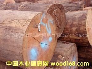 ����(y��ng)�S��ֱ�N(xi��o)�M(j��n)�ڴ�ֱ������ԭľ