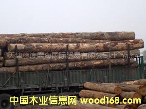 ����(y��ng)�S��ֱ�N(xi��o)�M(j��n)�ڴ�ֱ����ľԭľ