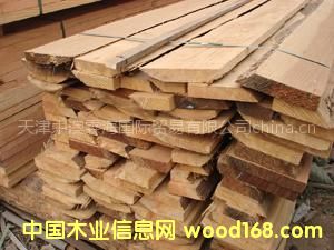 ����(y��ng)�̓r(ji��)�����������Ҏ(gu��)����b��������ĬF(xi��n)؛