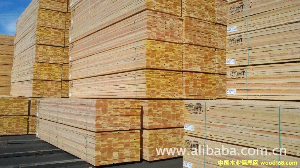 �M(j��n)�ڰ�ĵ�Ԕ��(x��)��B