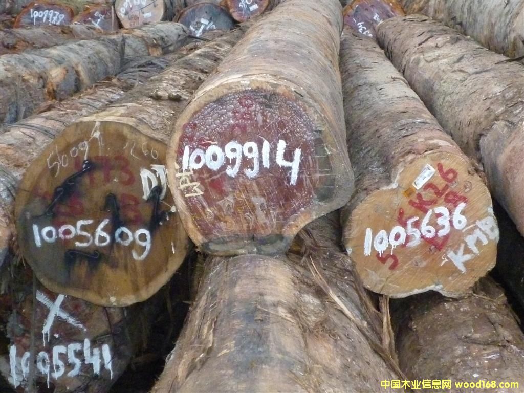 �����F���ӵ�Ԕ��(x��)��B