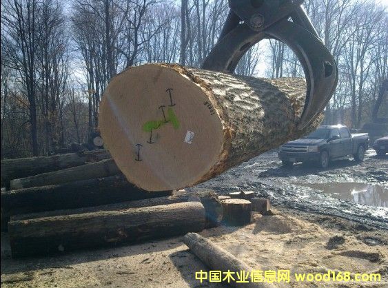 ��ľԭľ��Ԕ��(x��)��B