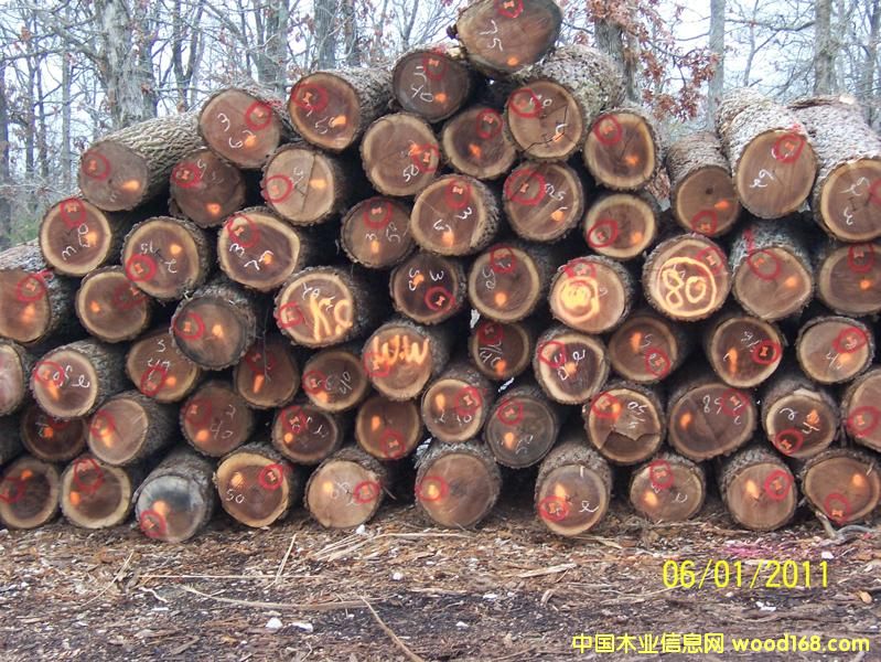 ����ԭľ��Ԕ��(x��)��B