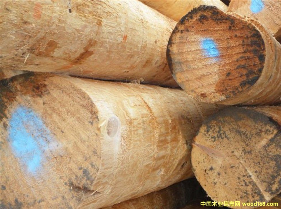 �Fɼԭľ��Ԕ��(x��)��B