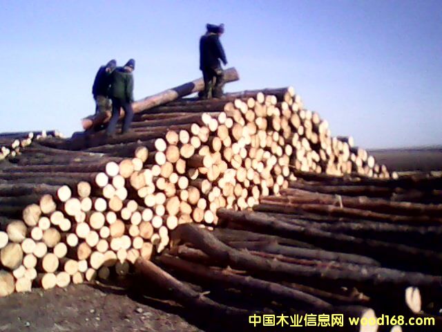 �c(di��n)���鿴���~�ɷŴ�DƬ