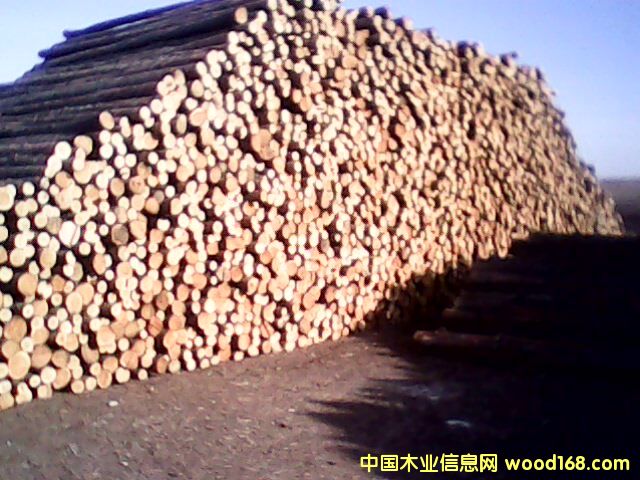 �c(di��n)���鿴���~�Ŵ�DƬ