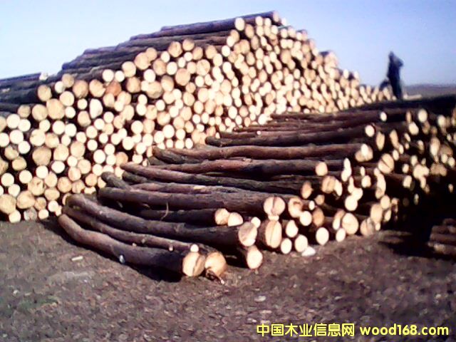 �c(di��n)���鿴���~�ɷŴ�DƬ