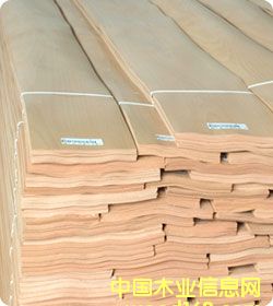 ��ľľƤ��Ԕ��(x��)��B