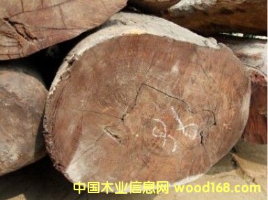 �Ჴ�����~��̴��Ԕ����B