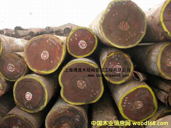 �c(di��n)���鿴��ľ�Ŵ�DƬ