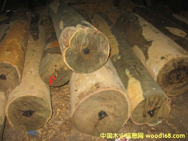 ����͢�G̴ԭľ��Ԕ��(x��)��B