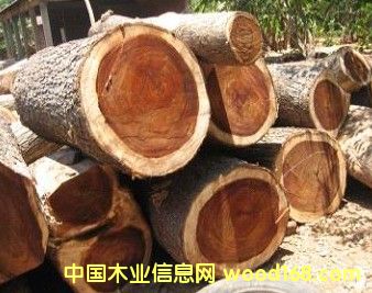 ̩��(gu��)���zľ��Ԕ��(x��)��B