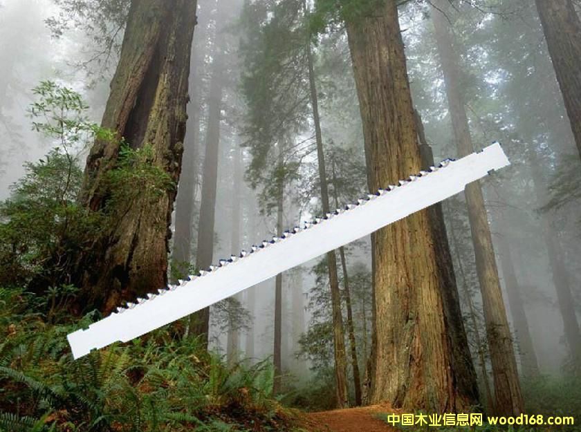 䏗l��Ԕ��(x��)��B