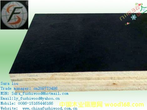 �c(di��n)���鿴��ɫ����ģ��1220*2440*13�Ŵ�DƬ