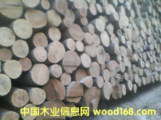 �؃�(y��u)�S���}ԭľ��Ԕ��(x��)��B