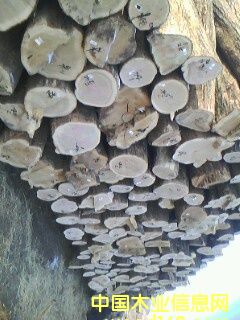 �؃�(y��u)��ľ��Ԕ��(x��)��B