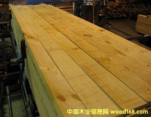 �����m�� ݗ���ɰ�� ��� ��ľ��Ԕ��(x��)��B