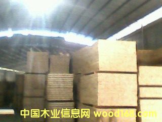 �sľ��ָƴ���Ԕ��(x��)��B