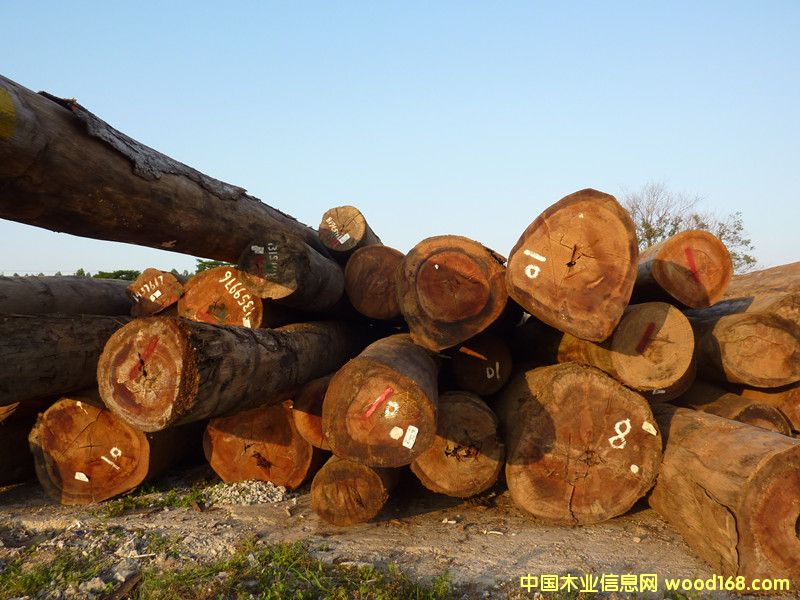 ����ԭľ��Ԕ��(x��)��B