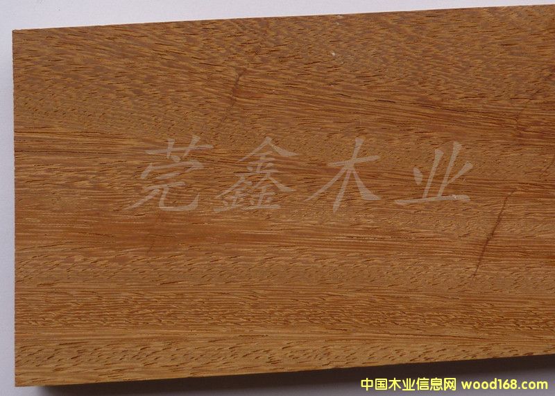 ��̩����Ԕ��(x��)��B