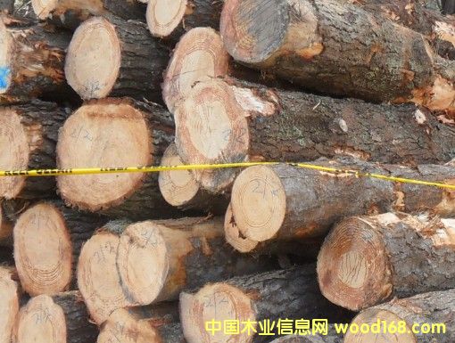 ��ľԭľ��Ԕ����B