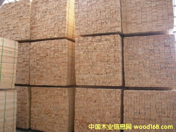 ľ���ǵ�Ԕ����B