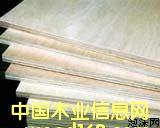 ���ɲĵ�Ԕ��(x��)��B