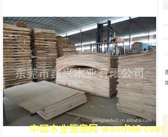 �c���鿴ɳ�l(f��)��Ŵ�DƬ