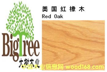 �����t��ľ��Ԕ��(x��)��B