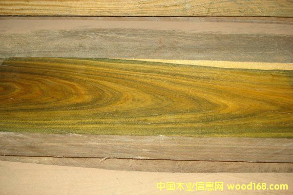 綠檀的詳細(xì)介紹